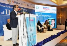 Govt saved Rs 1.1 trillion through talks with IPPs: Awais Leghari