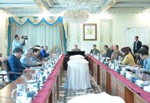 Cabinet terms beginning of Pakistan’s term as UNSC member, big achievement on diplomatic front