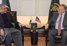 Naqvi bids farewell to US Ambassador Donald Blome