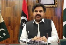 Sindh govt implementing several plans to ensure maximum utilisation of clean energy sources to protect environment: Nasir Hussain Shah