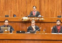 After National Assembly, controversial Peca tweaks sail through Senate amid ruckus