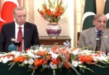 PM Shehbaz, President Erdogan pledge to unlock full bilateral trade, investment potential