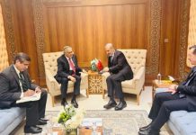 DPM, Egyptian FM exchange views on regional, global issues