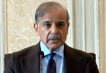 PM Shehbaz stresses need to eliminate debt, ensure economic stability