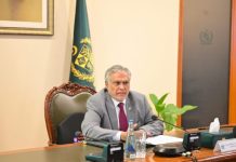 Pakistan to safeguard its due share of water: DPM