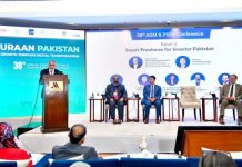 DPM underscores role of provinces in service delivery