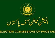 ECP submits comments in case regarding right of vote to overseas Pakistanis
