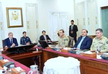 Govt striving to resolve issues of overseas Pakistanis: PM