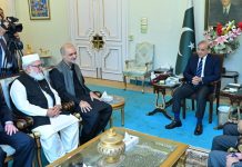 PM Shehbaz vows continued support for Palestinians, energy sector reforms amid JI delegation meeting