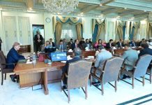 Pakistan to send high-level delegation to negotiate tariffs with US: PM