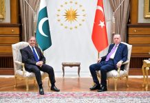 Pakistan, Turkiye vow to strengthen partnership for regional peace, development