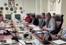 Commerce minister vows full support for pharma sector, announces establishment of export council