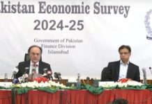 Historic Milestones: Pakistan hits $411 billion economy amid broad recovery