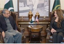 Acting U.S. Ambassador meets Interior Minister Mohsin Naqvi to discuss regional peace, bilateral cooperation