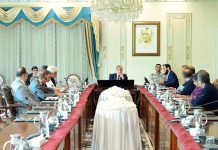 Govt institutional reforms to lead country toward stable global economy: PM