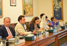 High-level delegations to visit world capitals from Jun 2 to project Pakistan’s stance on Indian aggression