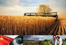China helps Pakistan boost its Agriculture