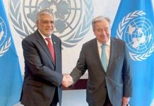 DPM reiterates Pakistan’s unwavering support for Palestinian statehood in meeting with UN SG