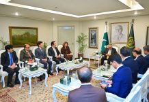 DPM/FM Dar highlights potential to strengthen Pak-ASEAN ties