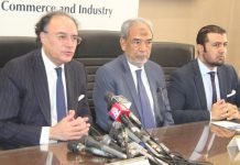 Interest rate cut possible but decision lies with SBP: finance minister