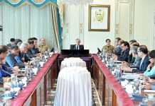 PM for full autonomy of Privatization Commission to eliminate red tape, unnecessary elements in SOEs’ denationalization