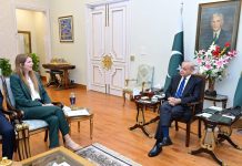 PM expresses satisfaction over Pak-UK bilateral cooperation