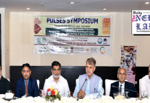 Promoting Sustainable Pulses Production and Value Chain Development, Pulses Symposium Held in Islamabad