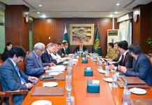 DPM Dar for actionable, targeted measures to restore financial sustainability of energy sector