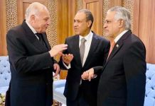 Dar reaffirms Pakistan’s commitment for stronger ties with North African states