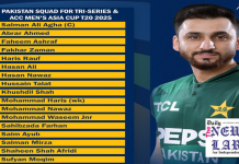 Wasim Jr, Salman Mirza recalled as PCB unveils Pakistan squad for tri-series, Asia Cup