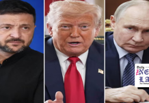 Ukraine wary as Trump to meet Putin without Zelenskiy