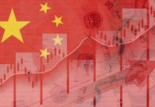 China: A Role Model for Developing Countries