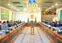 ECNEC approves 12 projects worth Rs 380 bn