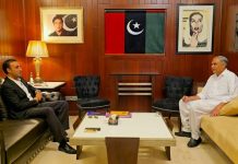 Minister Naqvi meets Bilawal Bhutto Zardari: focus on national unity, internal security
