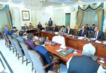 PM orders forensic audit of PRAL system after revelation of past sales tax fraud