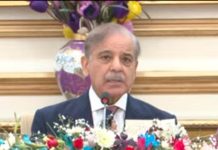 PM Shehbaz calls Pakistan-Saudi Defence Pact symbol of brotherhood, urges joint efforts for global strength