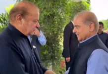 PM briefs PML-N president on his recent foreign visits, AJK situation