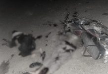 Security Forces kill 13 terrorists in two separate operations in Balochistan