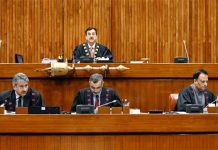 Senate passes resolution unanimously to recognize pivotal role of Dr Iqbal in awakening Muslims