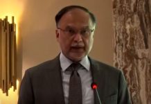 Local tea production to play a pivotal; Ahsan Iqbal