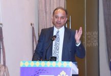 Pakistan needs comprehensive strategy to decarbonise transport sector: Musadik Malik