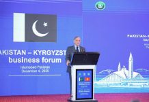 PM urges Kyrgyz businessmen to identify areas for enhancing trade with Pakistan