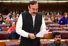 Aircraft shortage, lower passenger load main reasons for discontinuation of flights to Chitral: Senate told