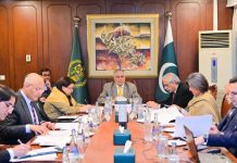 DPM Dar for enhanced engagement with UN bodies on IT sector