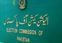 ECP sets Jan 20 deadline for postal ballot applications in PP-167 by-elections