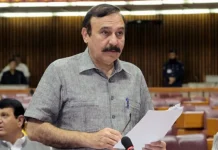 FDI rises to $2.48bn in FY25, investor confidence improving: Senate told