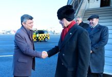 PM arrives in Davos to attend World Economic Forum annual meeting