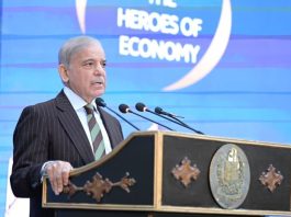 PM takes notice of NEPRA’s new solar regulations, asks Power Division to appeal