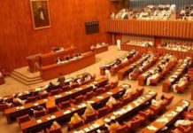 Senate committee hears Rs2.2tn charged to public for unused power capacity