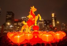 PM Shehbaz greets President Xi, Chinese people on Lunar New Year